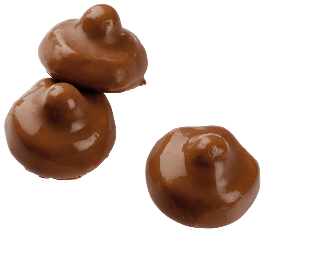 Chokosvamp