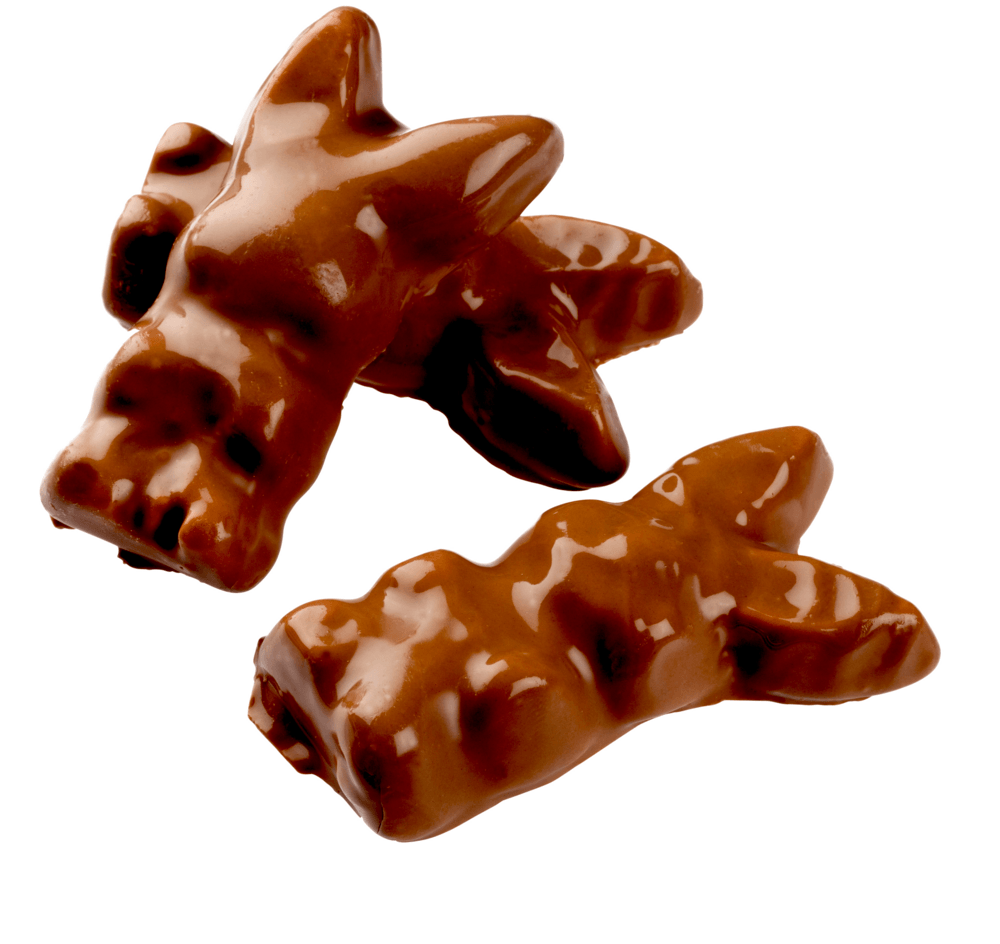 Påskharar Choko